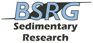 BSRG logo
